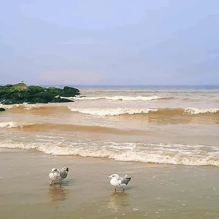 In With Sea Views * Nieuwpoort