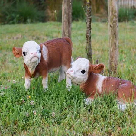 In With Sea Views Lejlighed