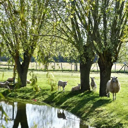 In With Sea Views Lejlighed