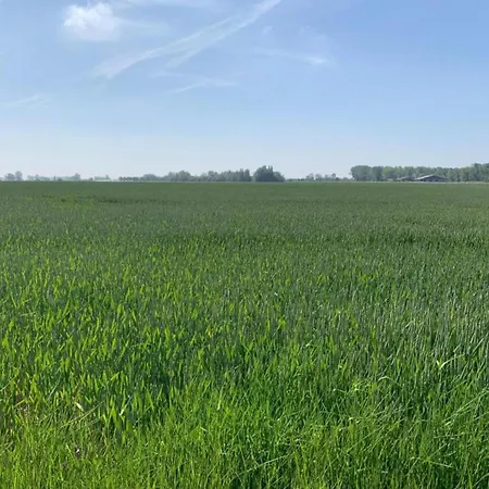 Lejlighed In With Sea Views Nieuwpoort