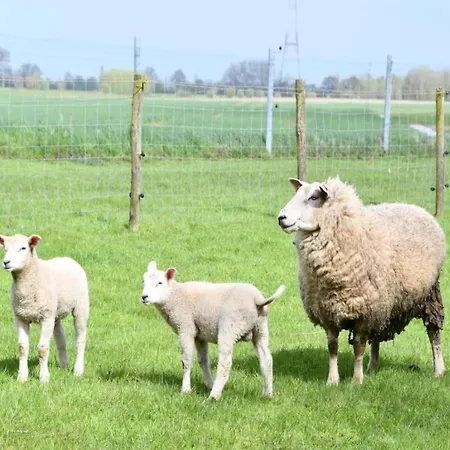 In With Sea Views Apartment