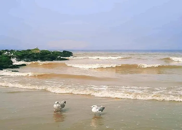 In With Sea Views * Nieuwpoort